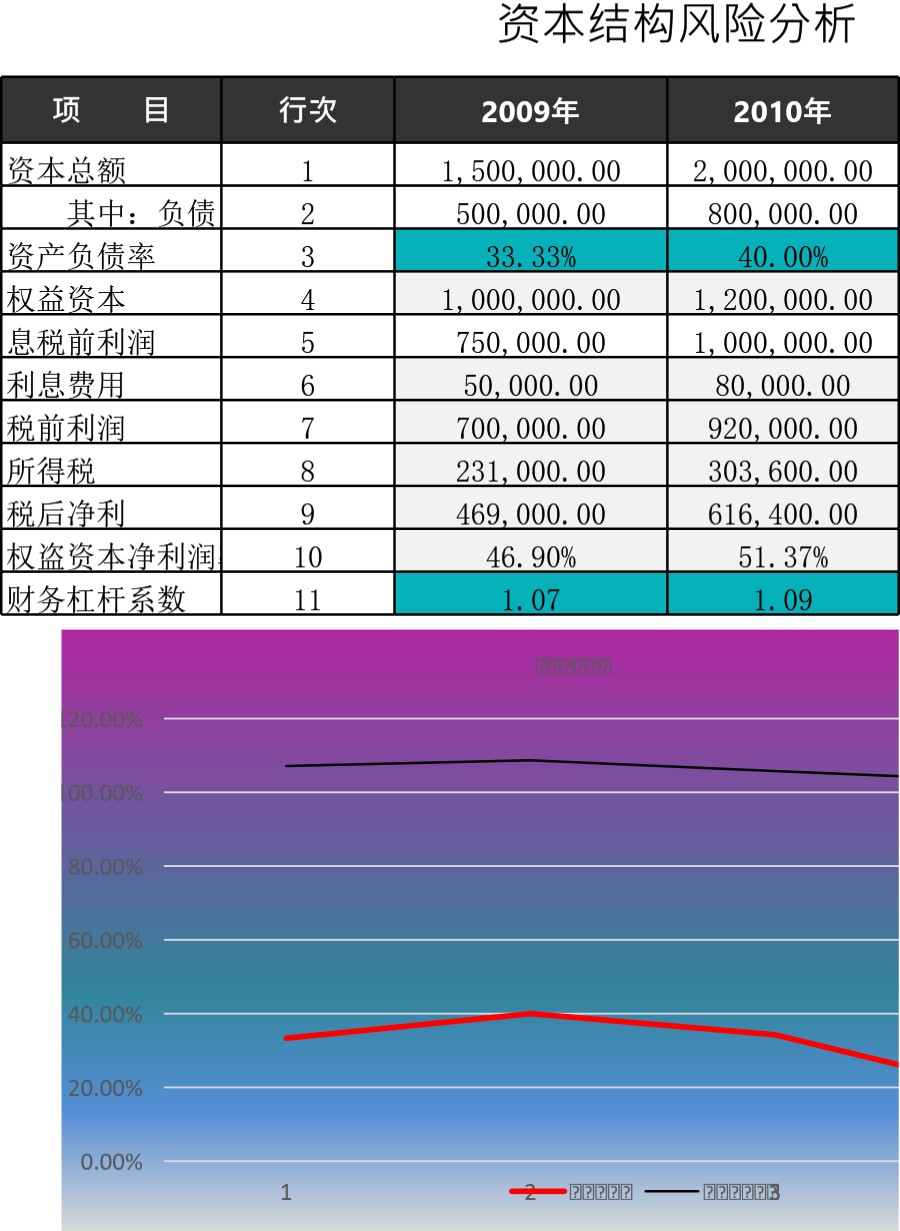 筹资风险分析模板