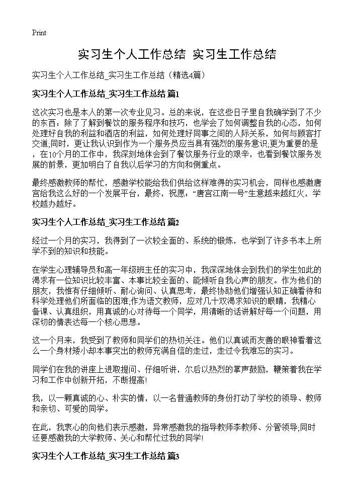 实习生个人工作总结 实习生工作总结4篇