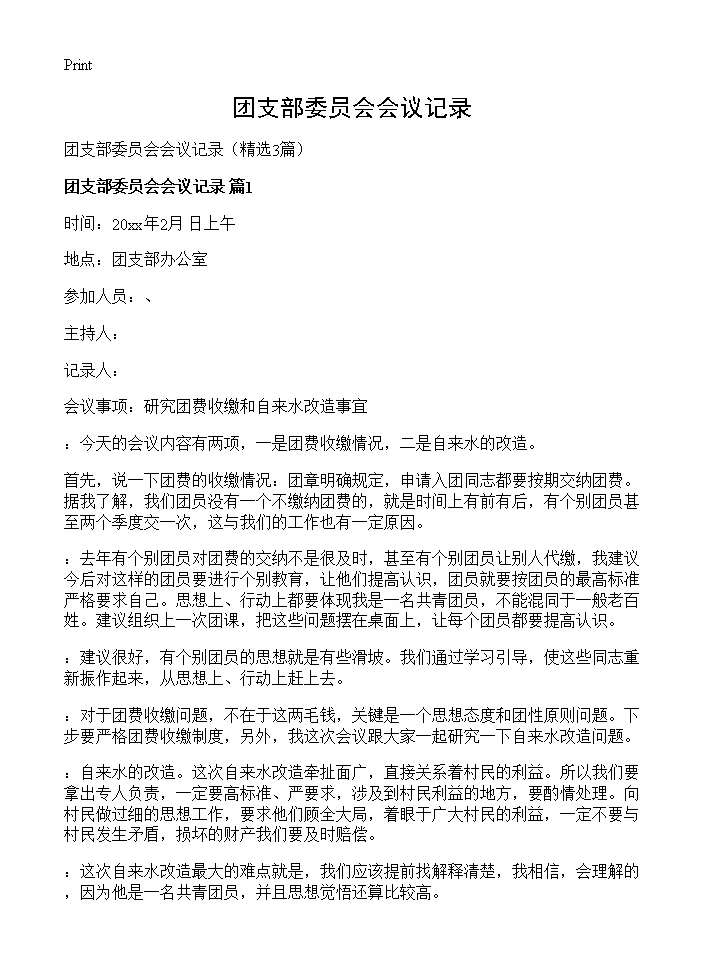 团支部委员会会议记录3篇