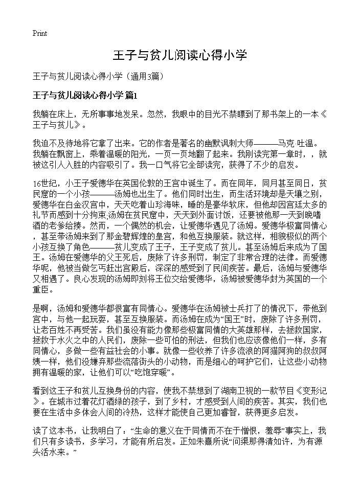 王子与贫儿阅读心得小学3篇