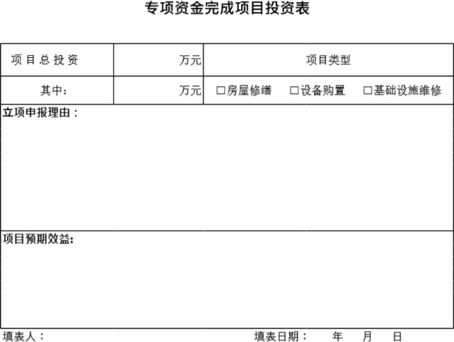 专项资金完成项目投资表模板