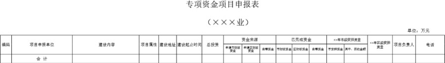 专项资金项目申报表模板