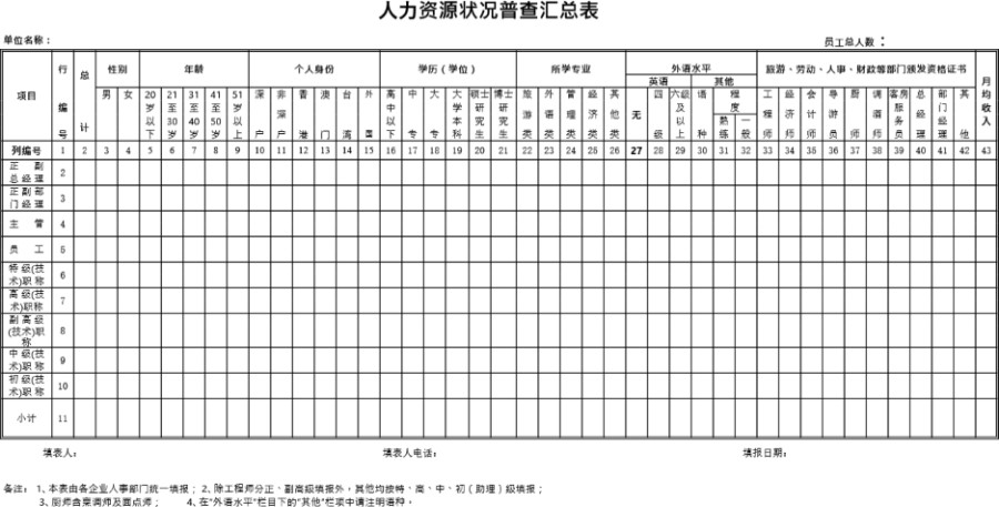 人力资源状况普查汇总表模板