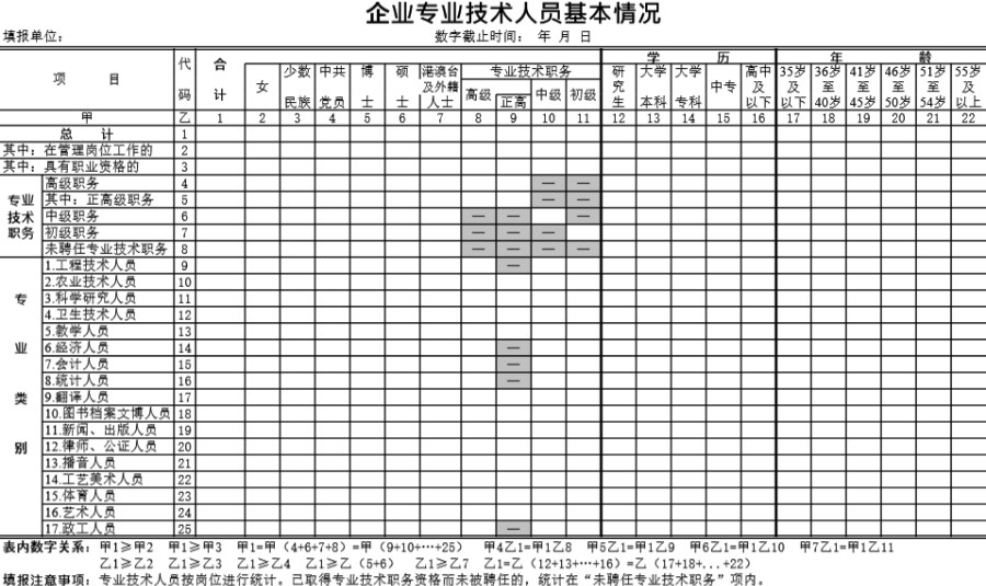 企业专业技术人员基本情况表模板