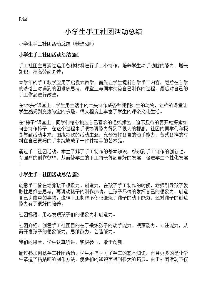 小学生手工社团活动总结5篇