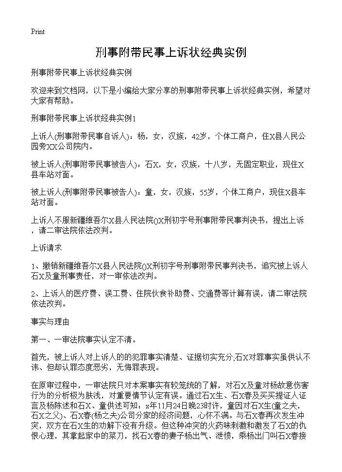 刑事附带民事上诉状经典实例