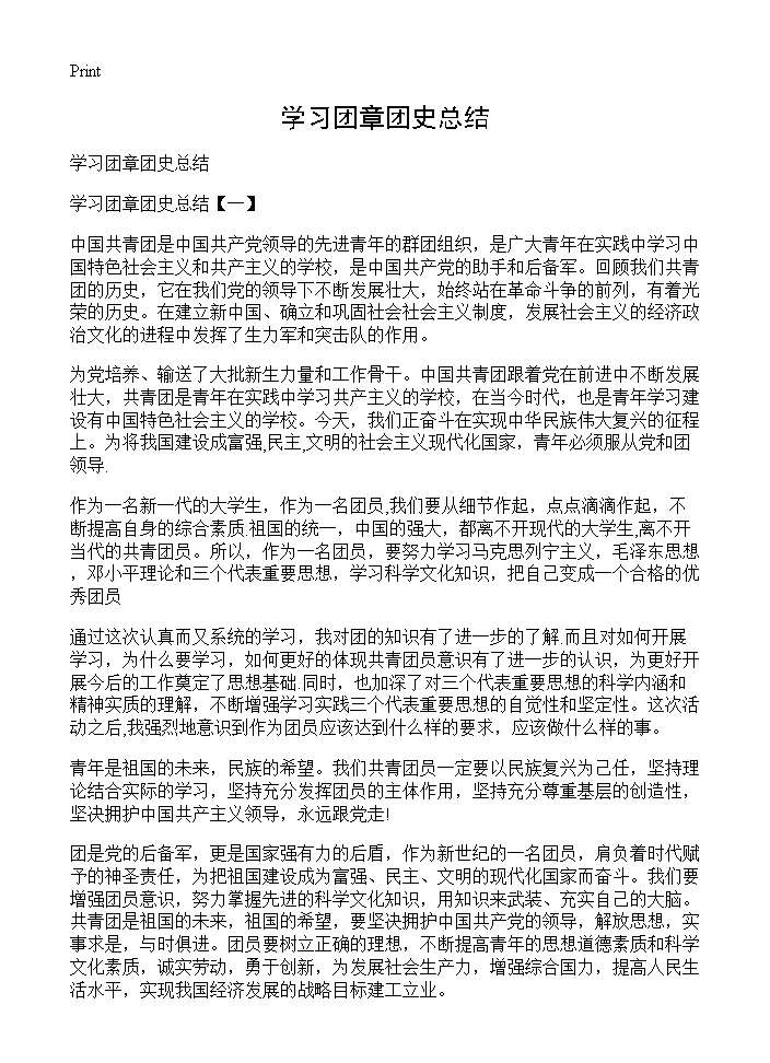 学习团章团史总结