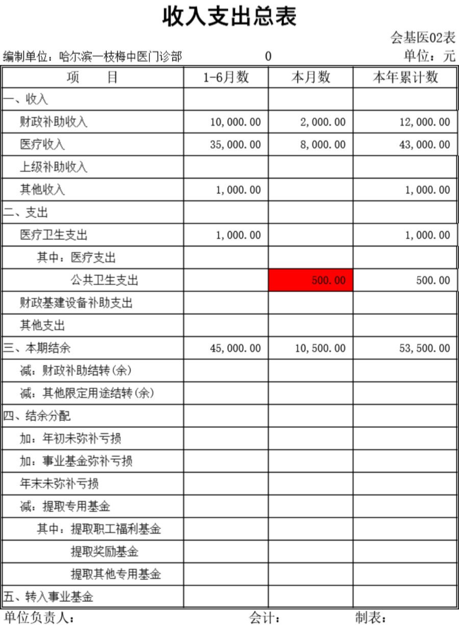 医院最新会计报表格模板