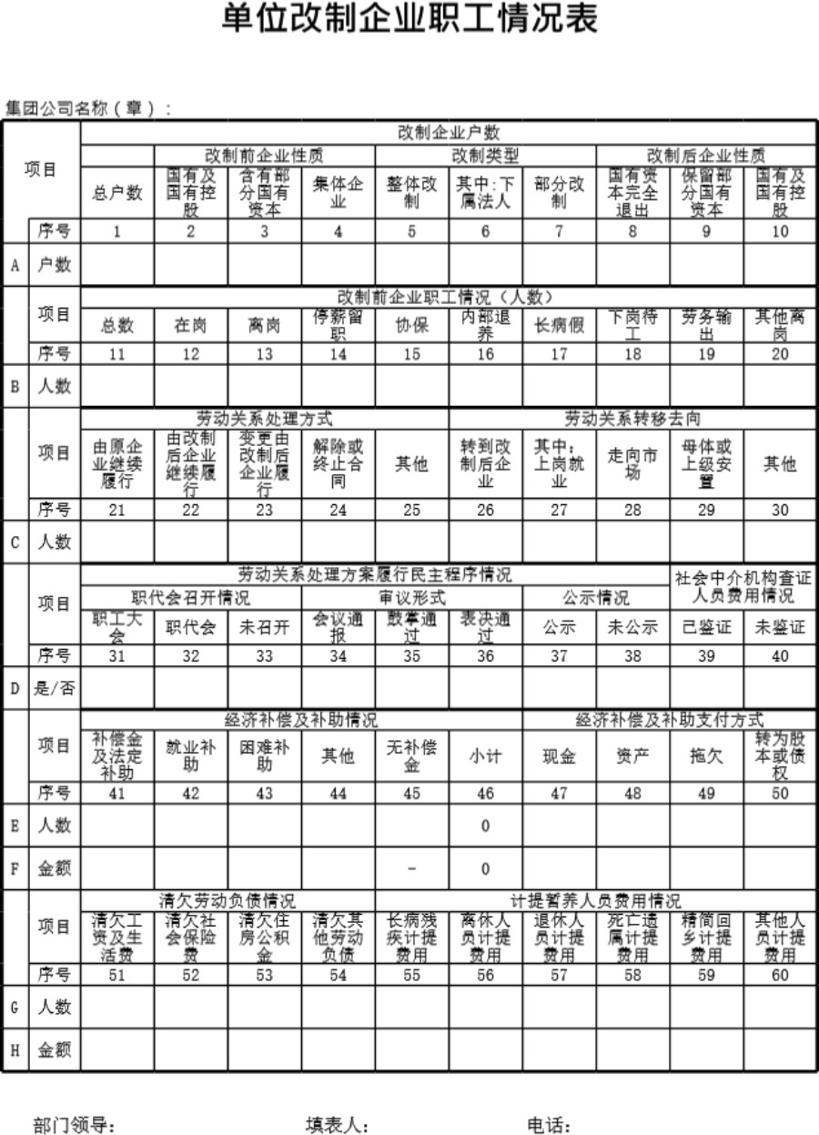 单位改制企业职工情况表模板