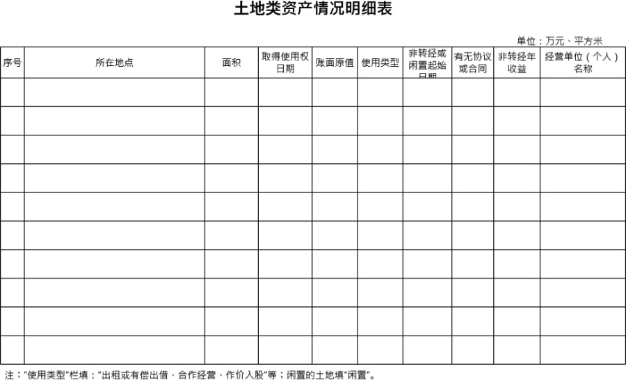 土地类资产情况明细表