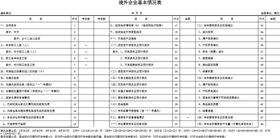 境外企业基本情况表模板