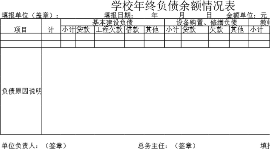 学校年终负债余额情况表模板