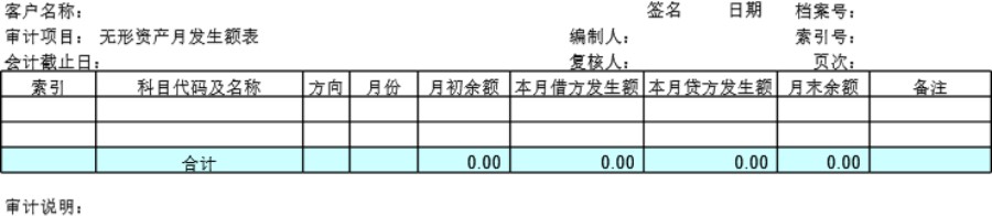 审计底稿模板C25无形资产