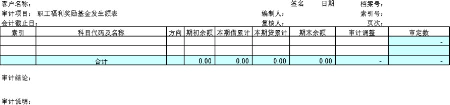 审计底稿模板D12职工福利奖励基金