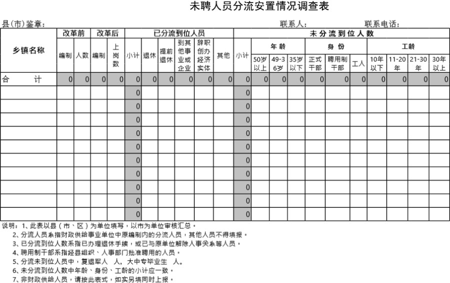 未聘人员分流安置情况调查表模板