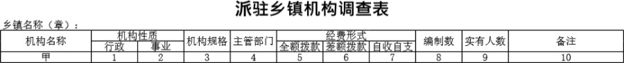 派驻乡镇机构调查表模板