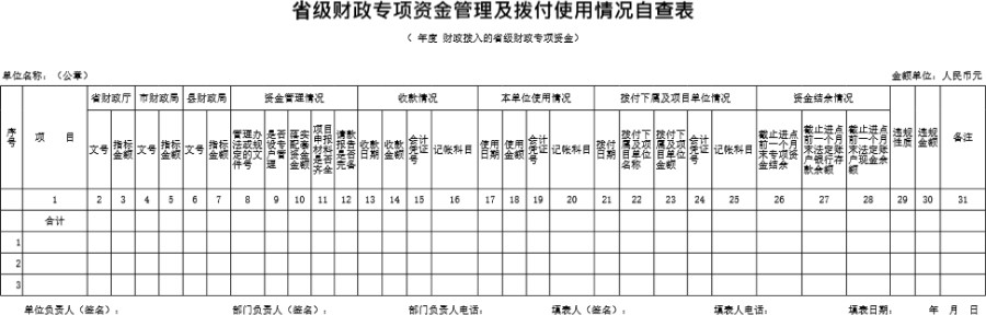 省级财政专项资金管理及拨付使用情况自查表模板