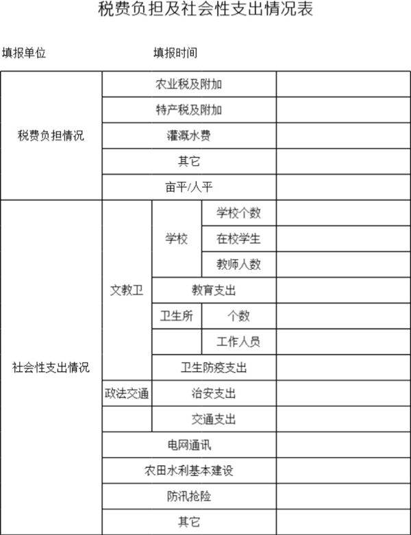 税费负担及社会性支出情况表模板