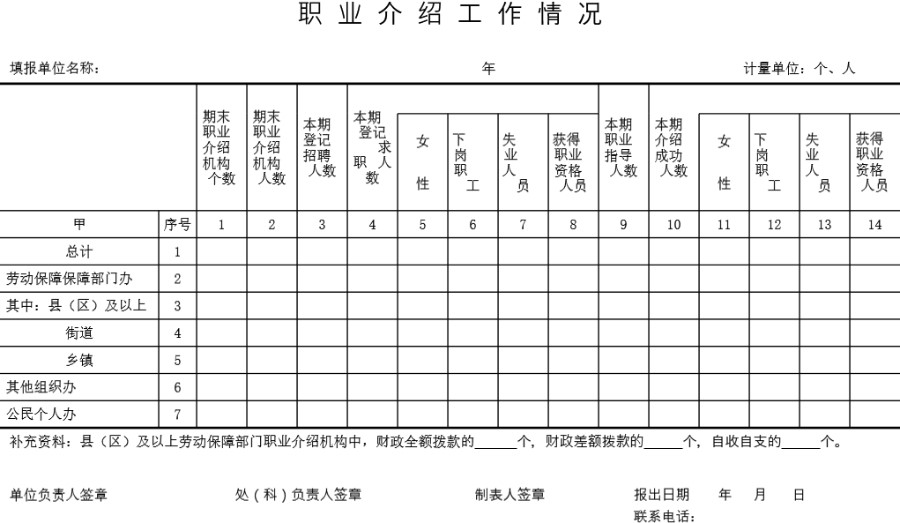 职业介绍工作情况表模板