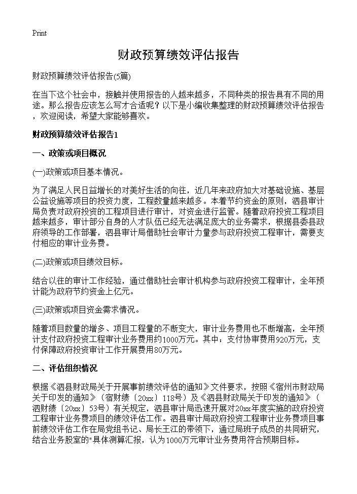 财政预算绩效评估报告 (共11页)