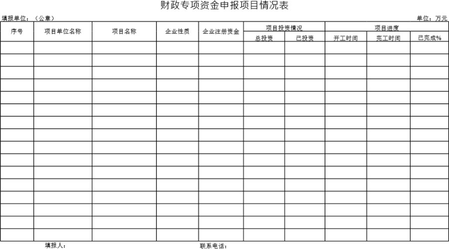 财政专项资金申报项目情况表模板