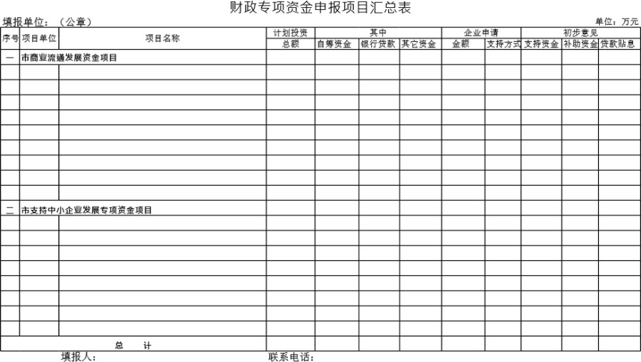 财政专项资金申报项目汇总表模板