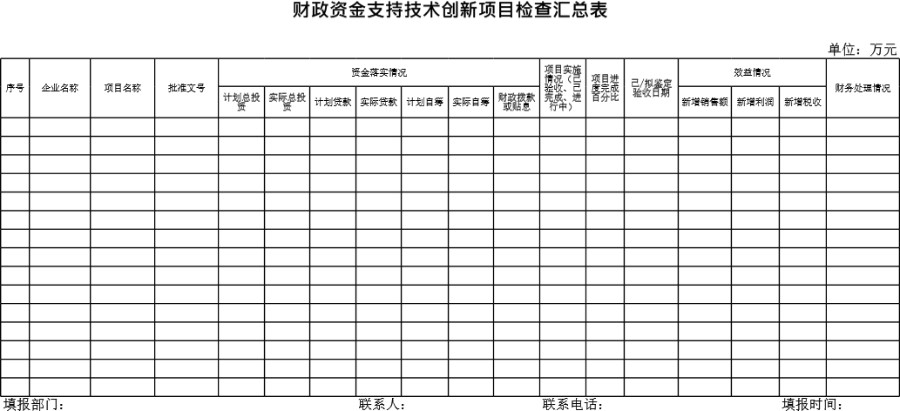 财政资金支持技术创新项目检查汇总表模板