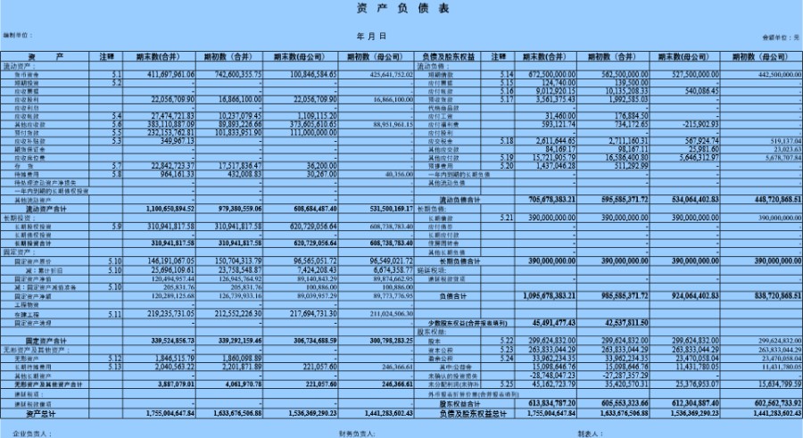 资产负债表6模板