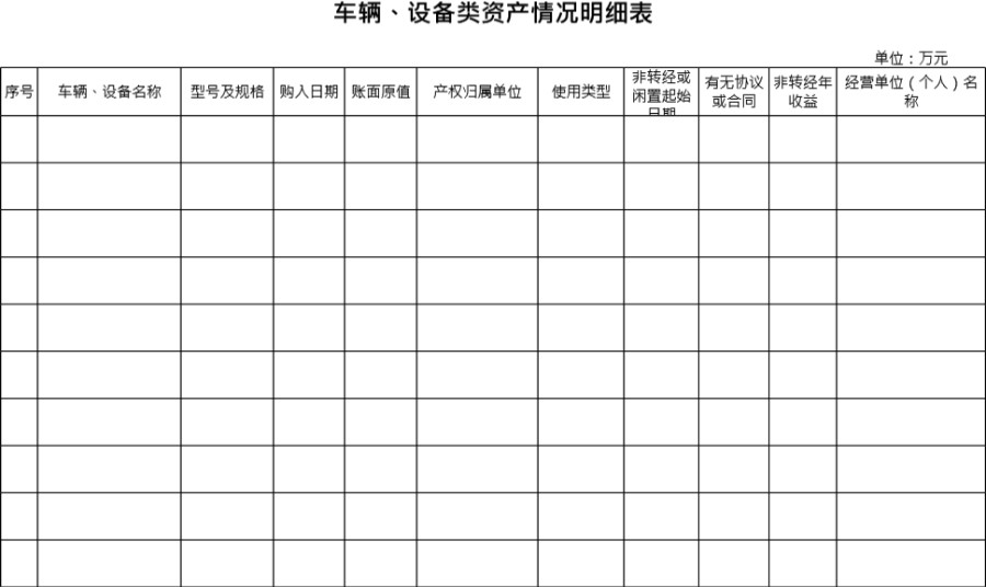 车辆 设备类资产情况明细表