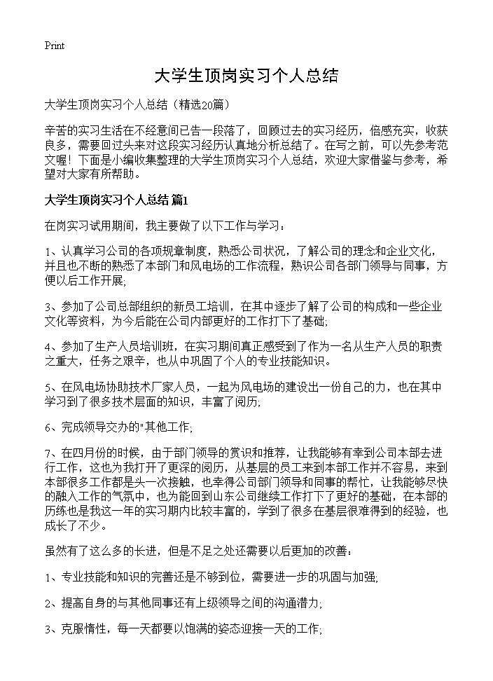 大学生顶岗实习个人总结20篇