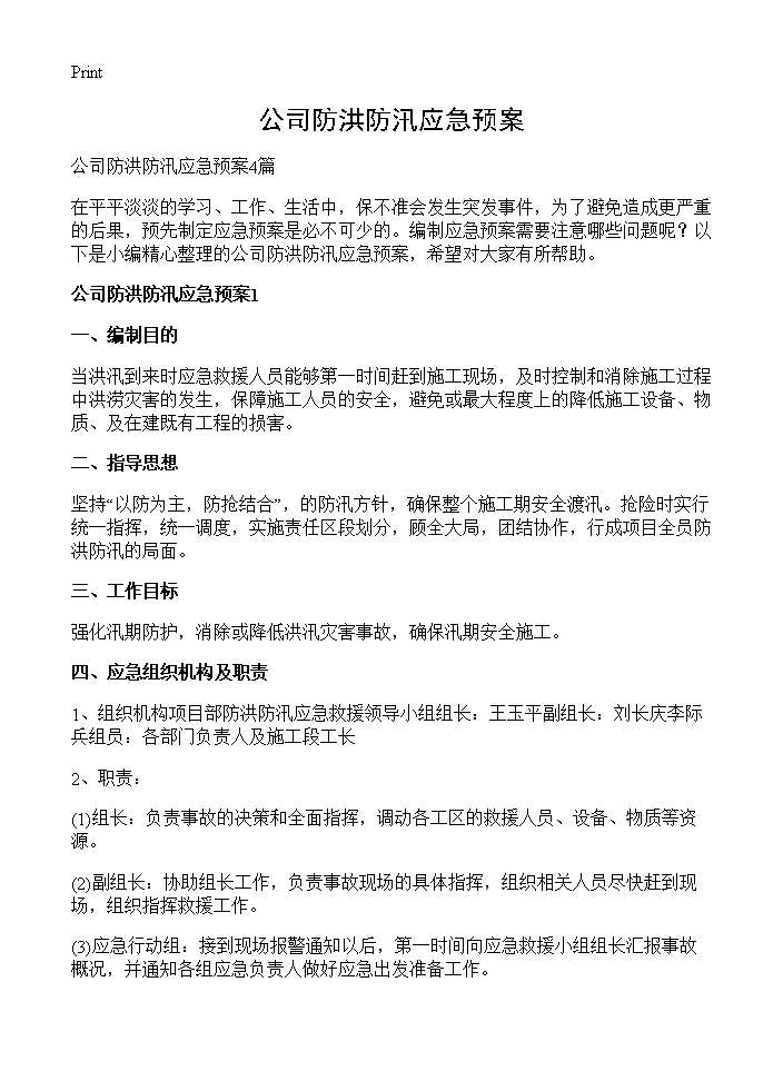 公司防洪防汛应急预案