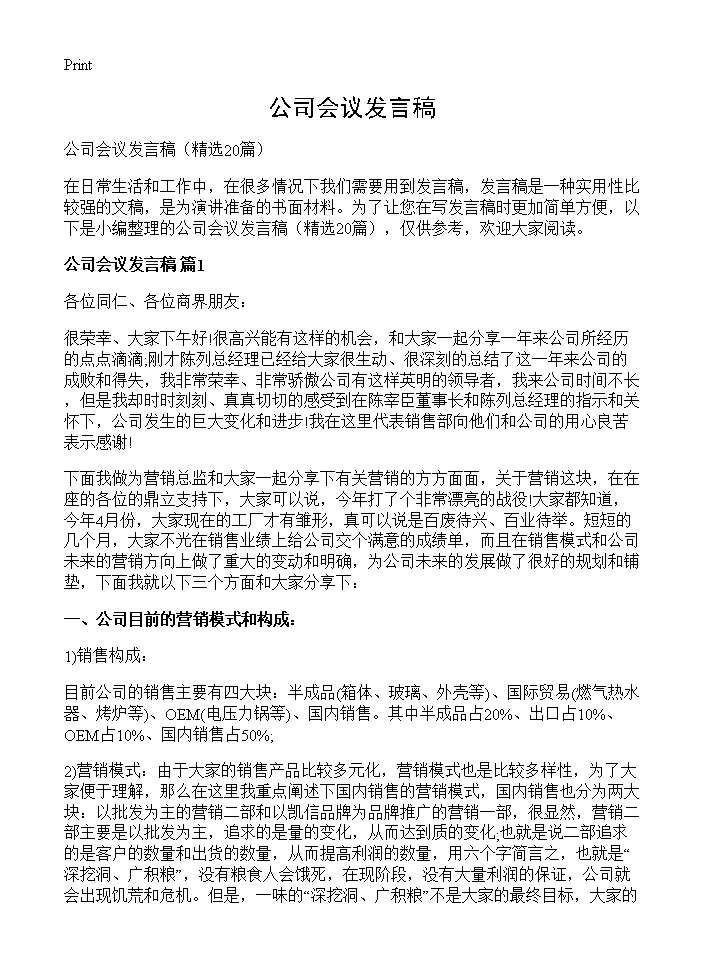 公司会议发言稿20篇