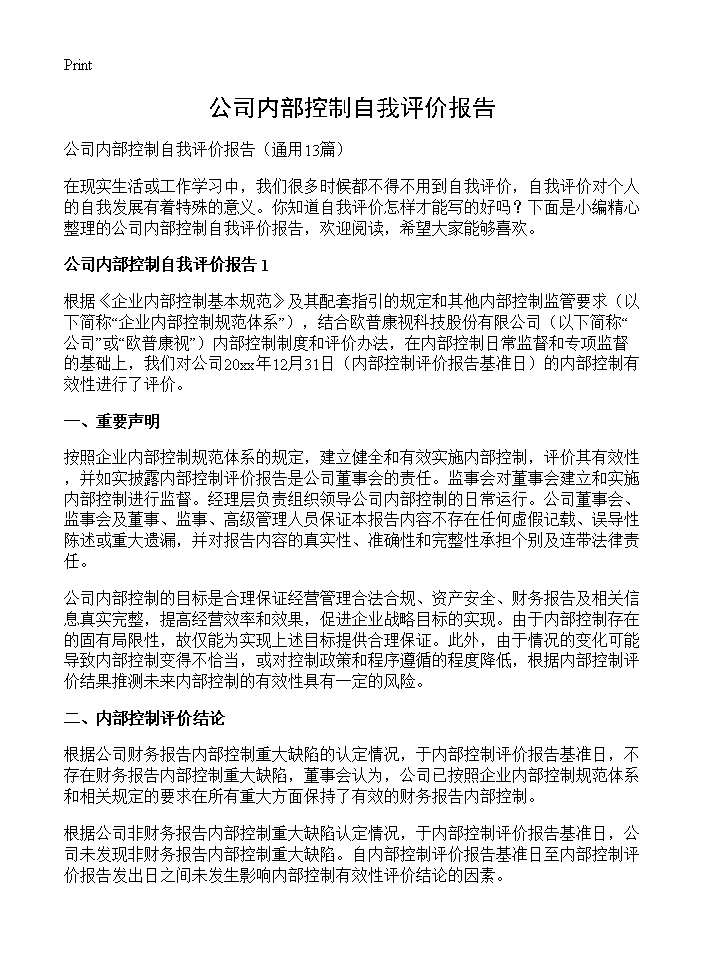 公司内部控制自我评价报告13篇