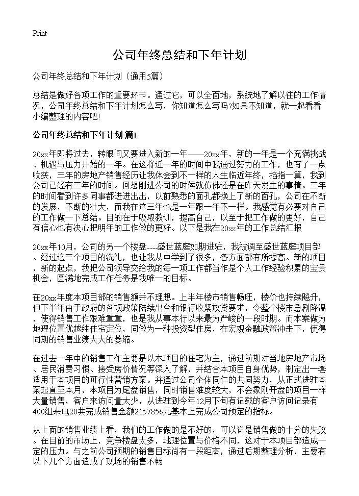 公司年终总结和下年计划5篇