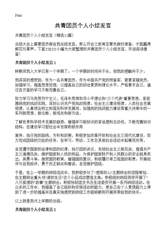 共青团员个人小结发言11篇