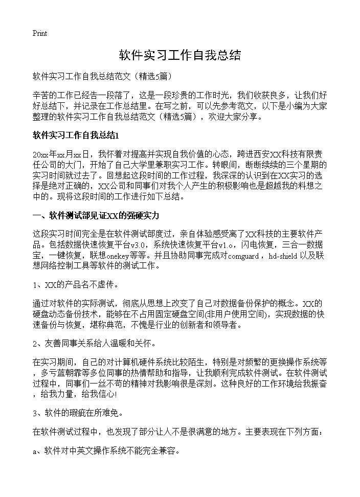 软件实习工作自我总结5篇