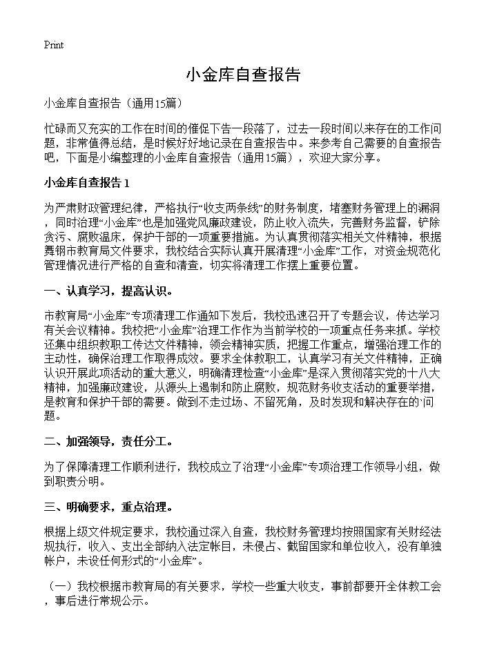 小金库自查报告15篇