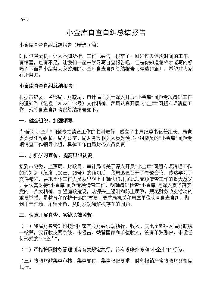 小金库自查自纠总结报告10篇