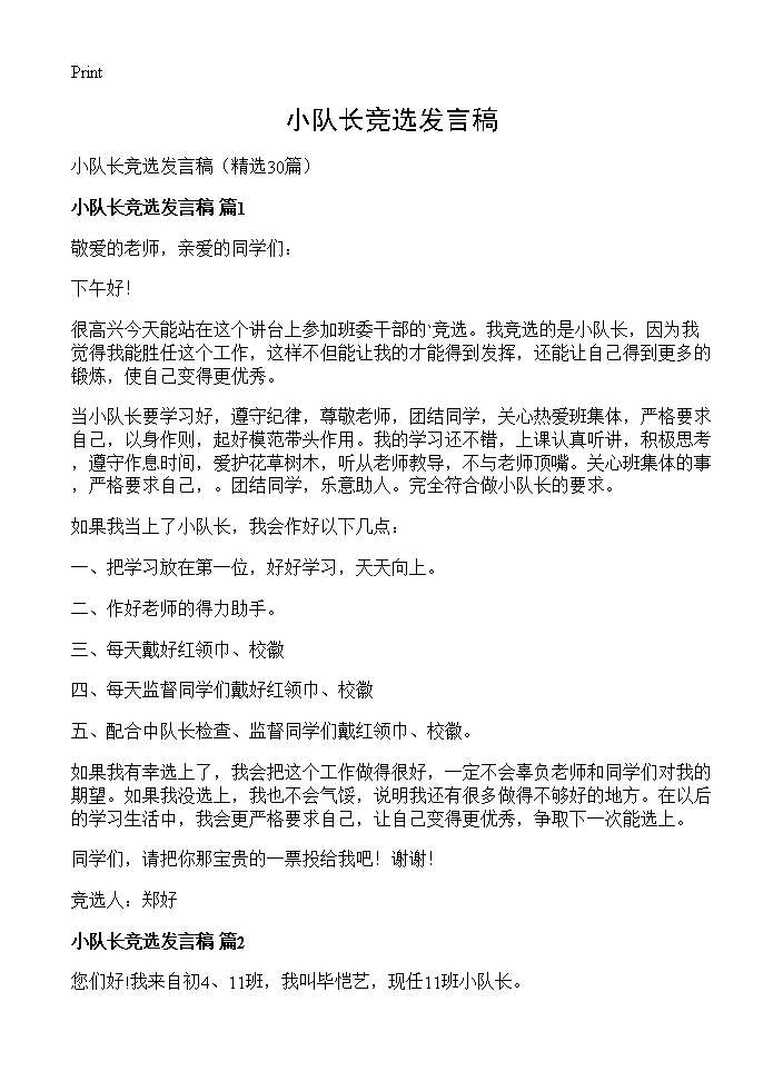 小队长竞选发言稿30篇