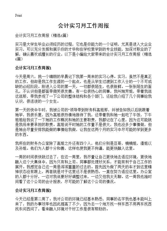 会计实习月工作周报6篇