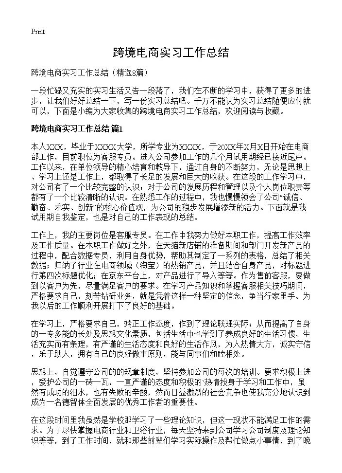 跨境电商实习工作总结8篇