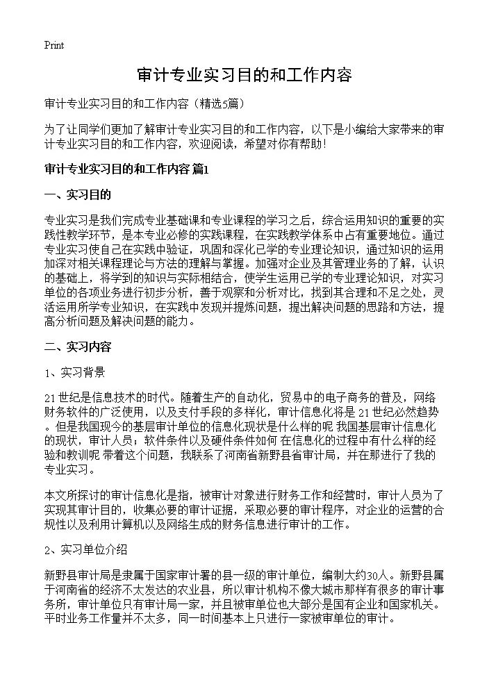 审计专业实习目的和工作内容5篇