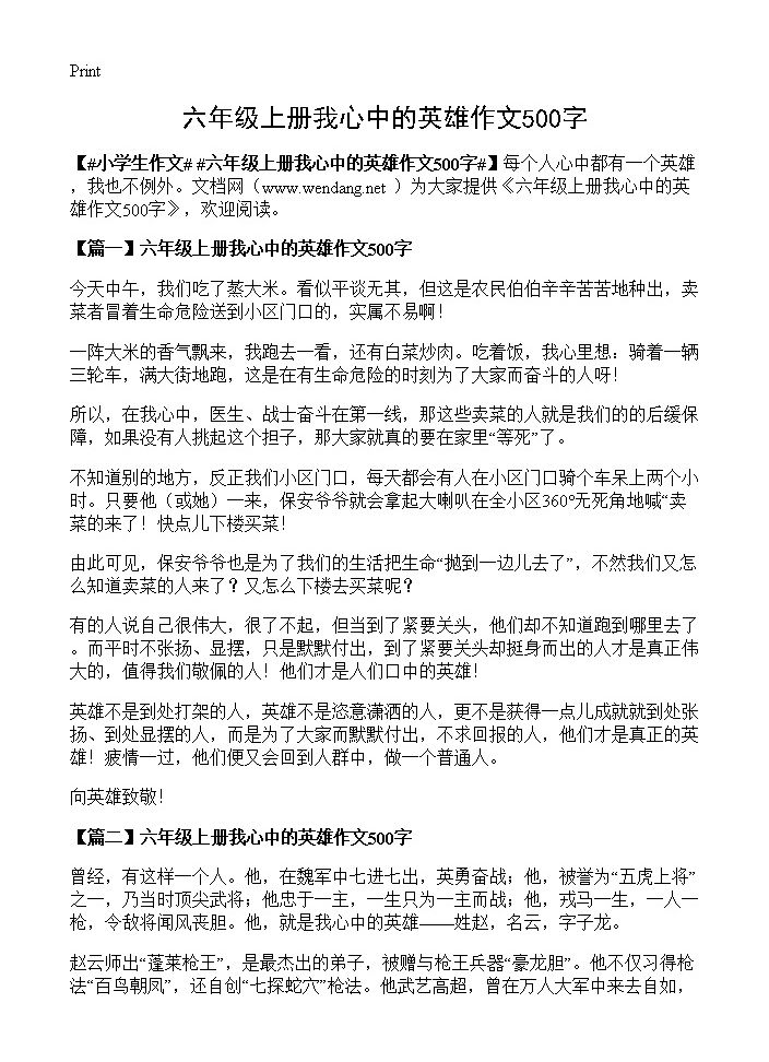 六年级上册我心中的英雄作文500字