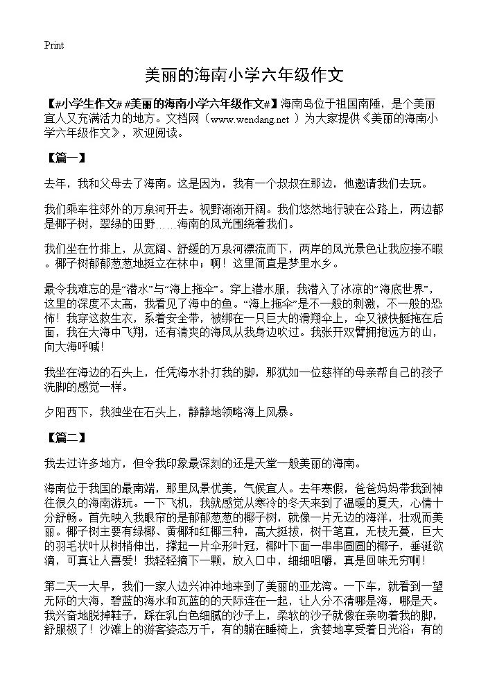 美丽的海南小学六年级作文