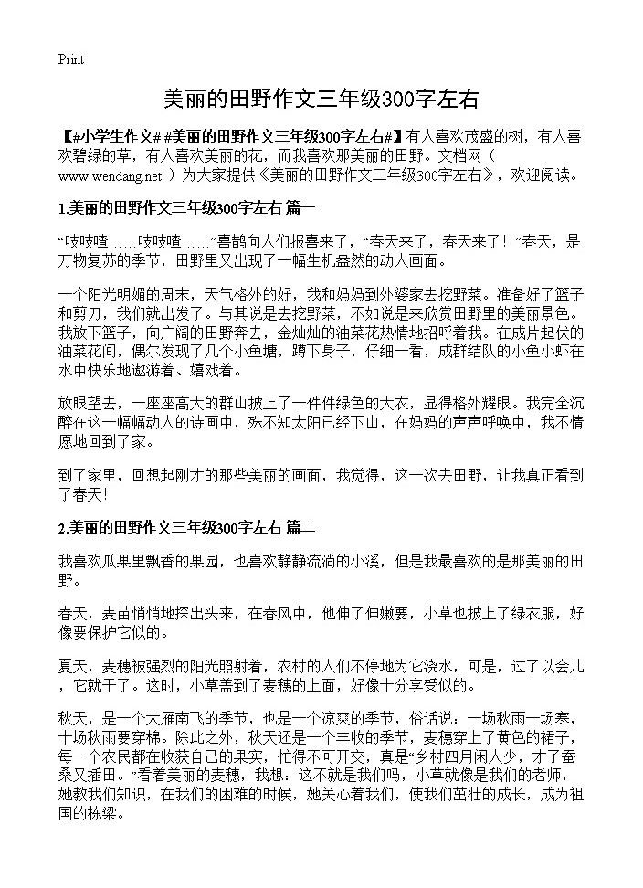 美丽的田野作文三年级300字左右