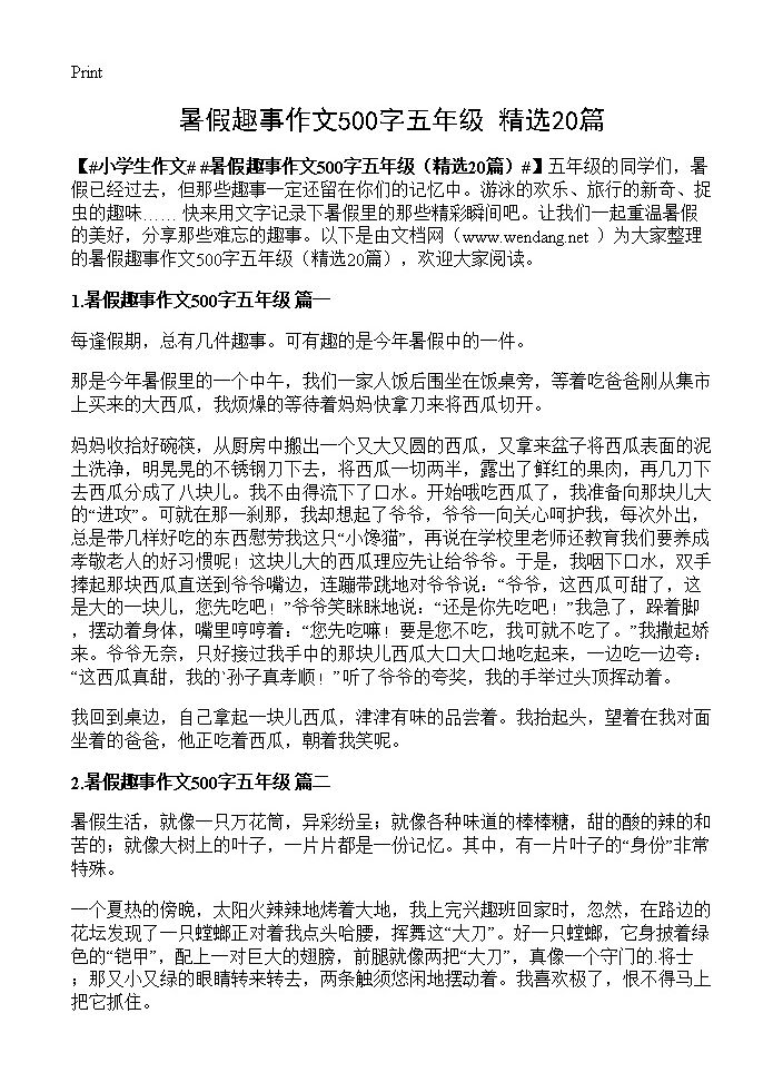 暑假趣事作文500字五年级20篇