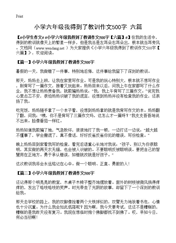 小学六年级我得到了教训作文500字