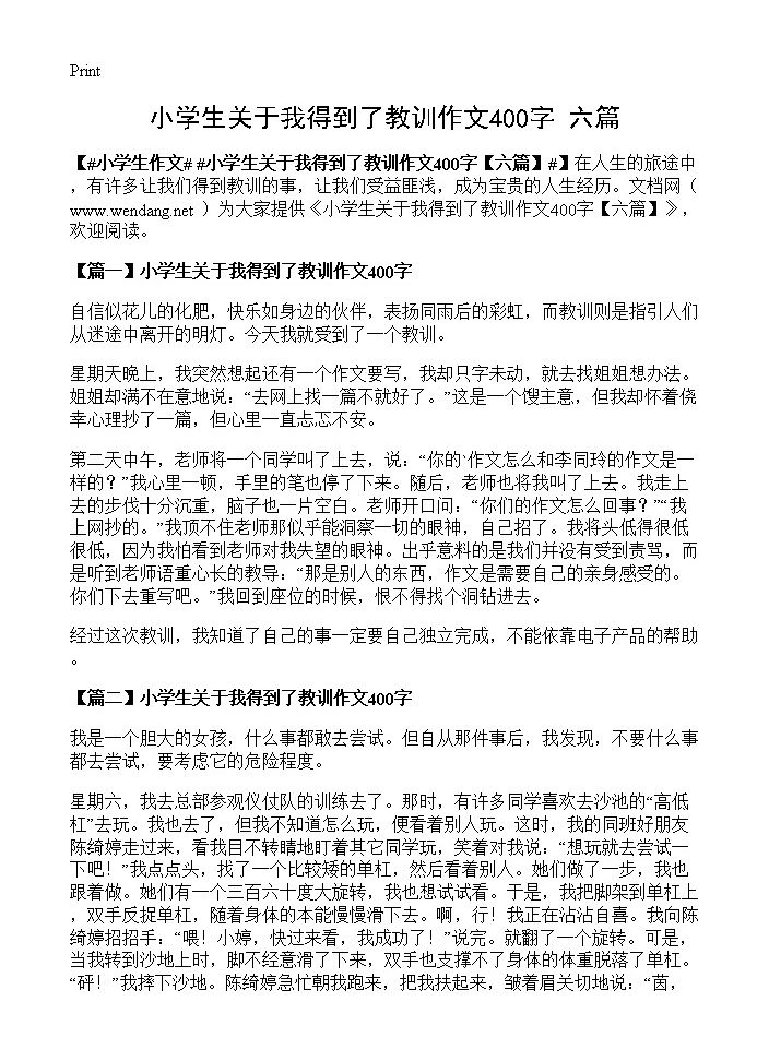 小学生关于我得到了教训作文400字