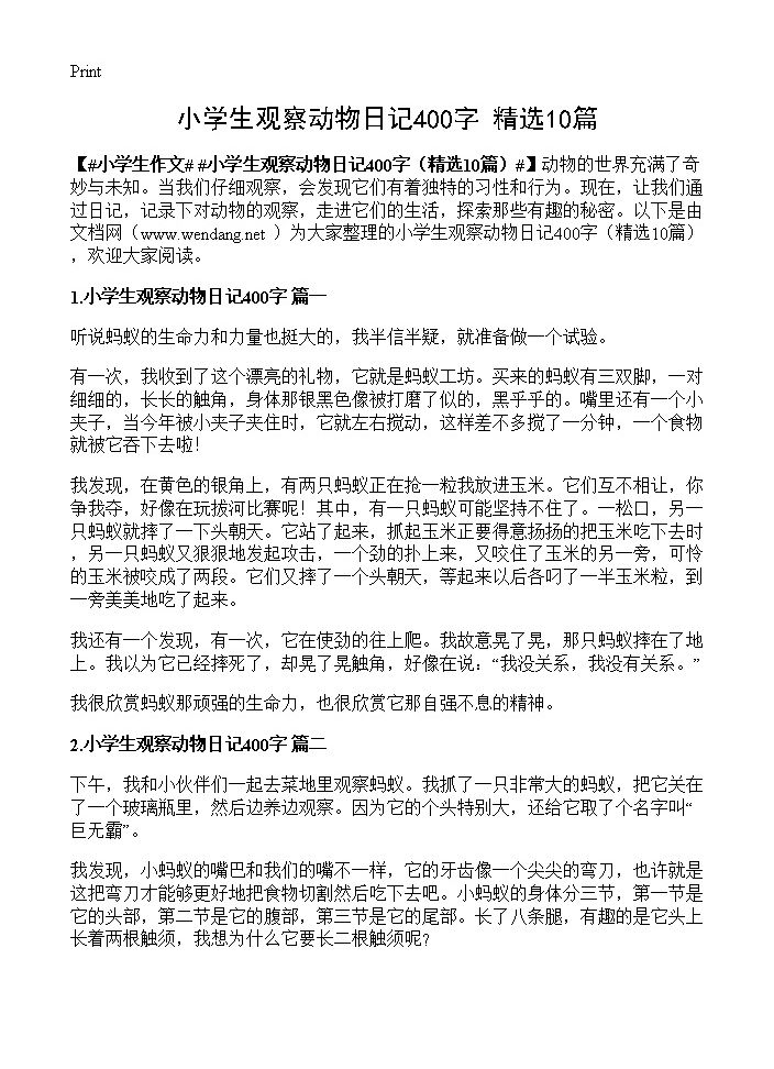 小学生观察动物日记400字10篇