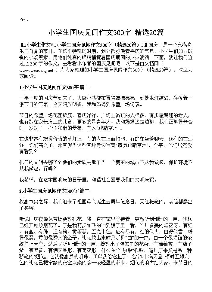 小学生国庆见闻作文300字20篇